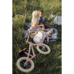 Little Dutch Loopfiets - 12 Inch - Roze -SportPlezier Verkoop 1985439 966c2395